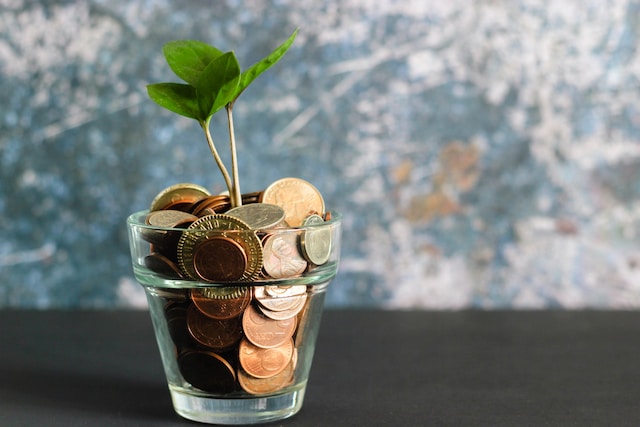 glass dish full of coins with plant growing out